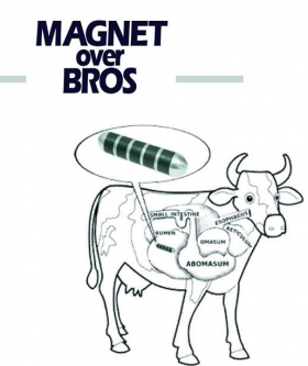 MU MAGNETS - Magnet Over Bros